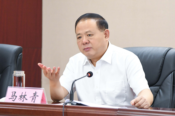 省政府食安辦主任、省市場監(jiān)管局書記馬林青講話